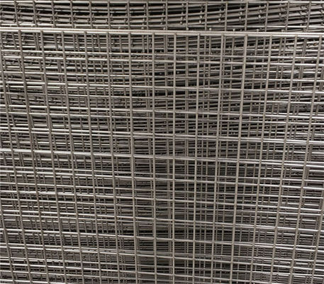 W1m Stainless Steel Welded Wire Mesh Panel L2m