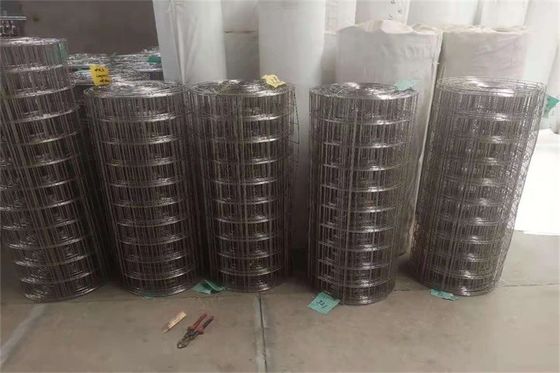 3/4''X3/4'' 304 0.8mm Stainless Steel Welded Wire Mesh