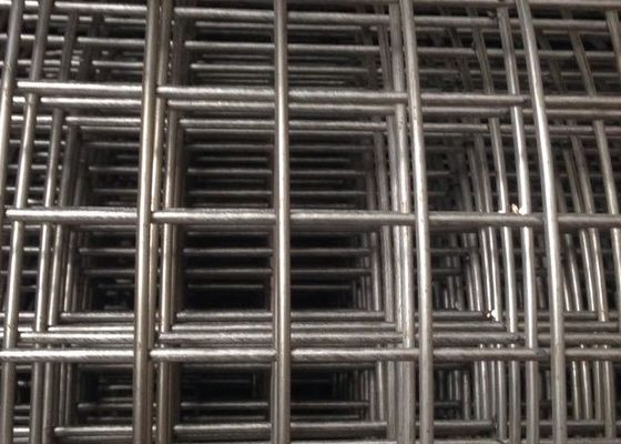 316 Fence Pvc Coated Welded Wire Mesh Panels Sgs