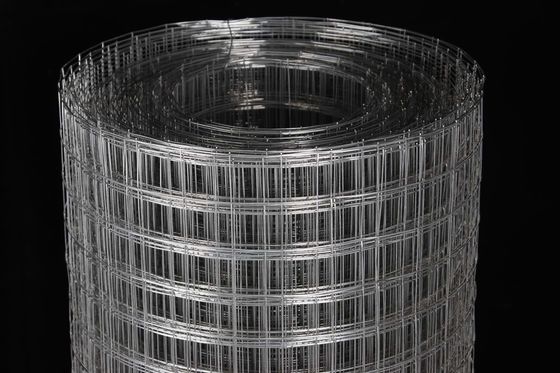 Bird Cage 0.6mm Stainless Steel Welded Wire Mesh Astm Standard