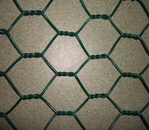 low carbon Plastic Coated Chicken Wire , HH Galvanised Hexagonal Wire Netting