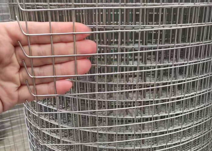 1/2 Inch Ss Welded Wire Mesh , SGS Chicken Cage Wire Mesh