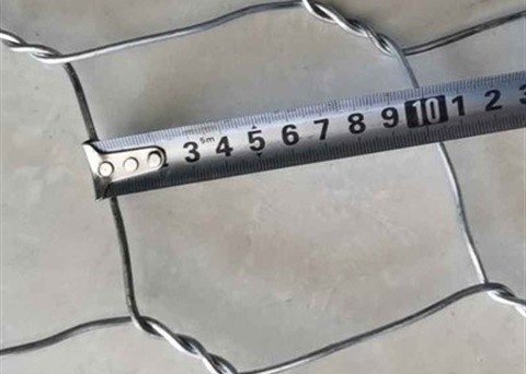 BWG 21 3/4 Inch 19mm Galvanized Hexagonal Wire Mesh